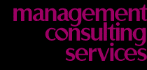 Management Consulting Services